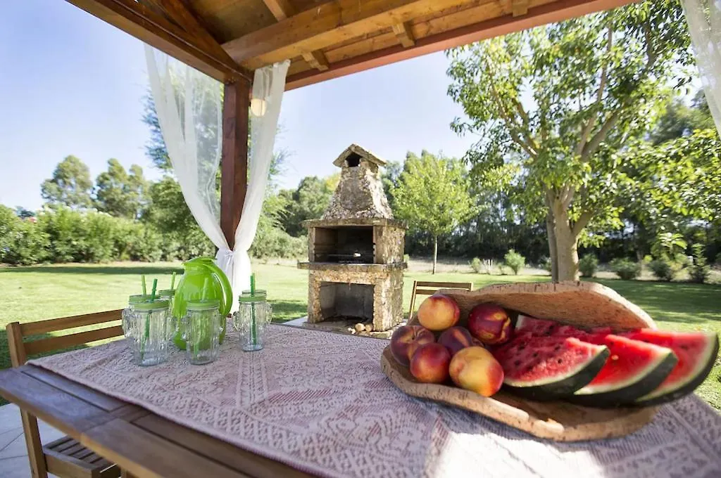 Alghero Villa Morena With Exclusive Swimming Pool And Large Garden