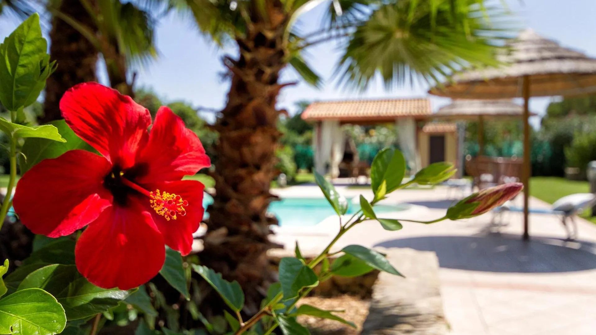 Alghero Villa Morena With Exclusive Swimming Pool And Large Garden